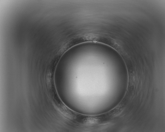 X0000064050263200602031631