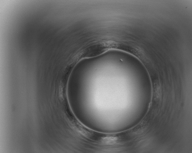 X0000064050266200602031631