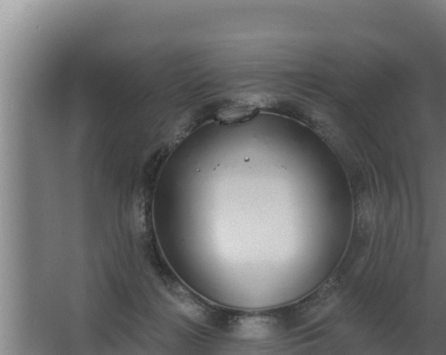 X0000064050268200602031631