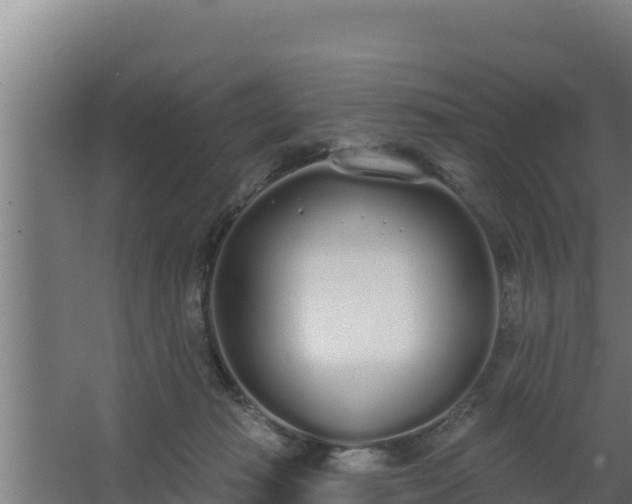 X0000064050269200602031631