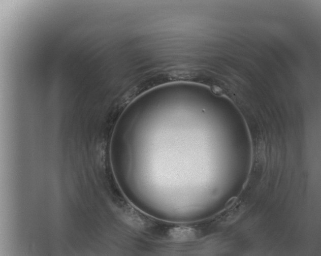 X0000064050271200602031631