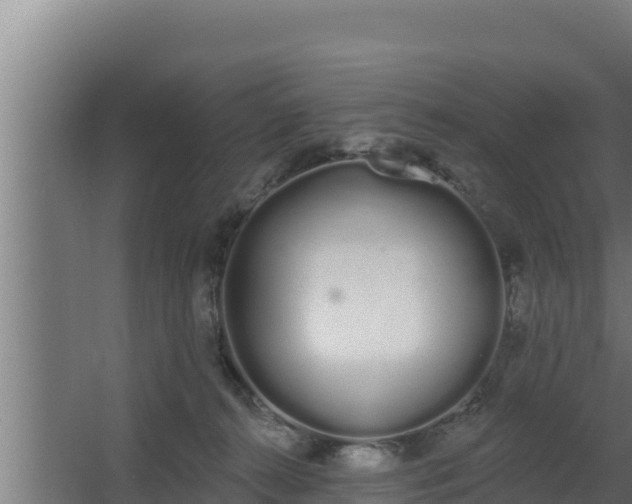 X0000064050272200602031631