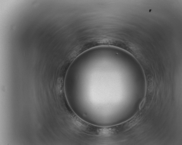 X0000064050273200602031631