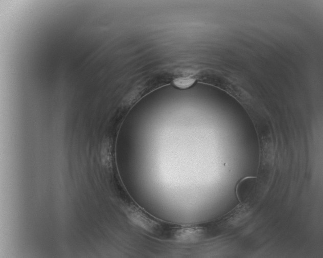 X0000064050274200602031631