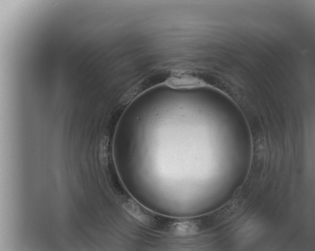 X0000064050275200602031631