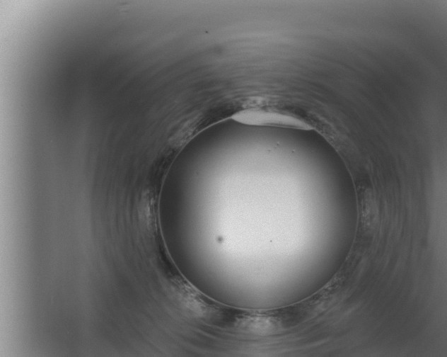 X0000064050276200602031631