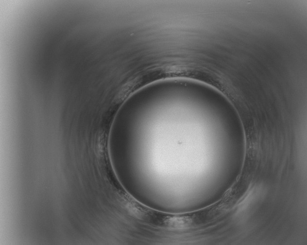 X0000064050277200602031631