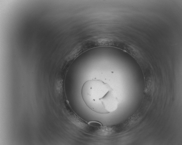 X0000064050278200602031631