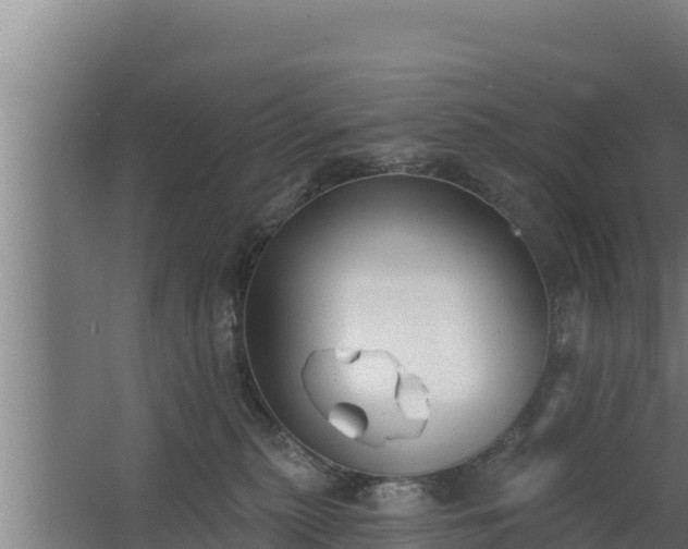 X0000064050279200602031631