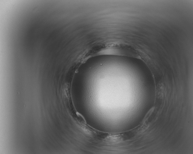 X0000064050280200602031631