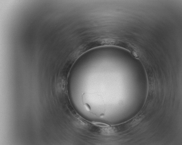 X0000064050281200602031631