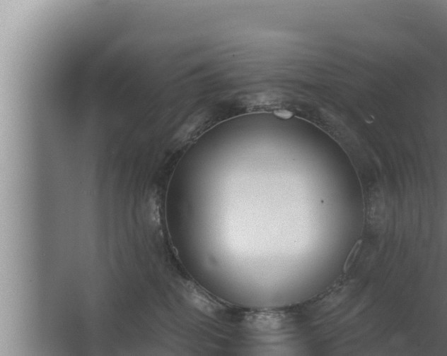 X0000064050282200602031631