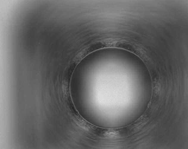 X0000064050283200602031631