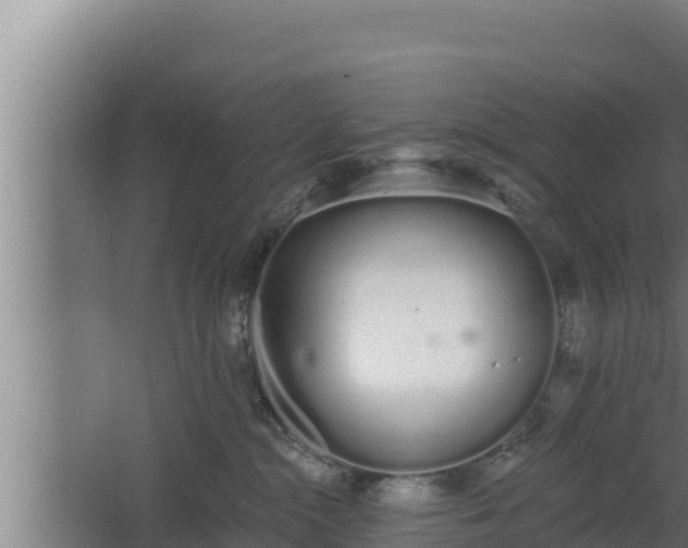 X0000064050284200602031631