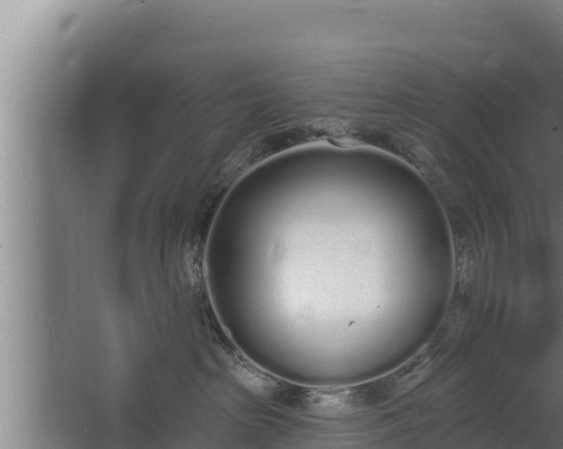 X0000064050285200602031631