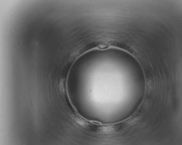 X0000064050286200602031631