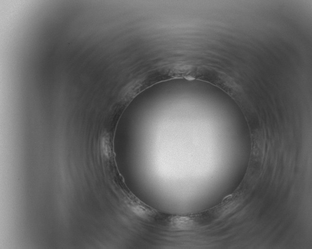 X0000064050287200602031631