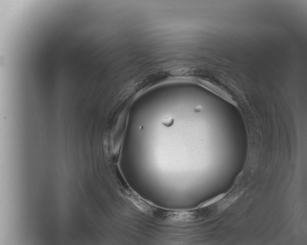 X0000064050288200602031631