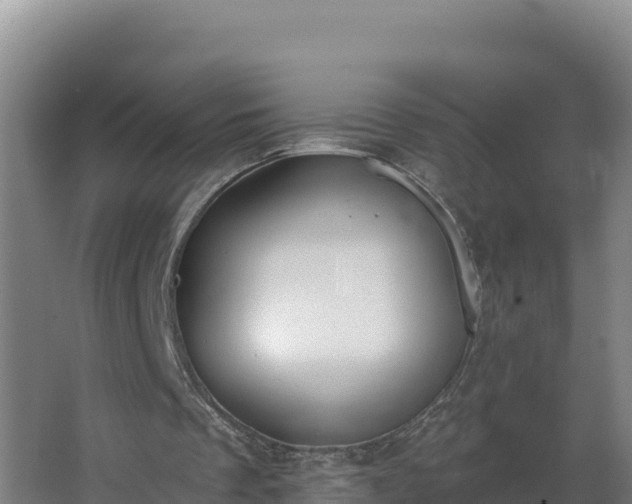 X0000064050289200602031630