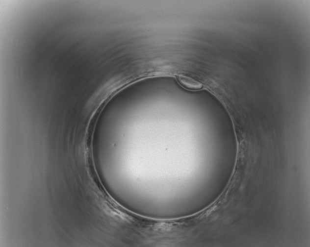 X0000064050290200602031630