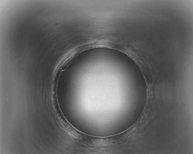 X0000064050293200602031630