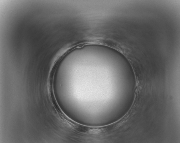 X0000064050294200602031630