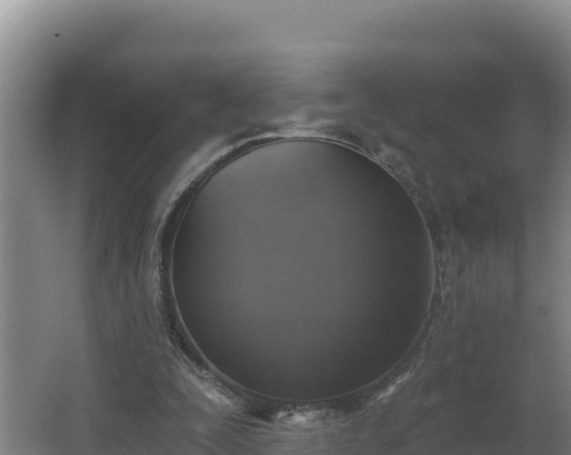 X0000064050295200602031630