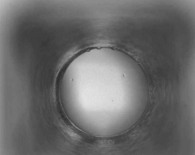 X0000064050296200602031630