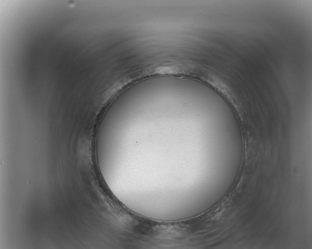 X0000064050297200602031630