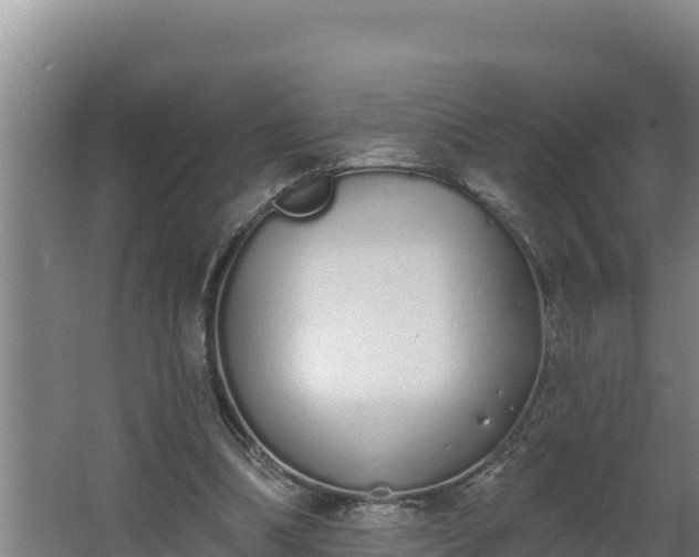 X0000064050298200602031630