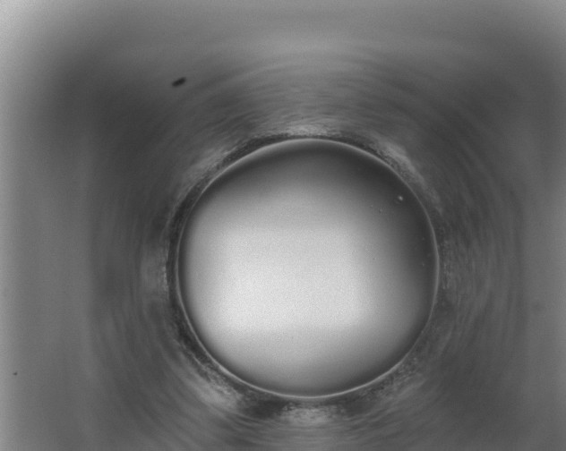 X0000064050299200602031630