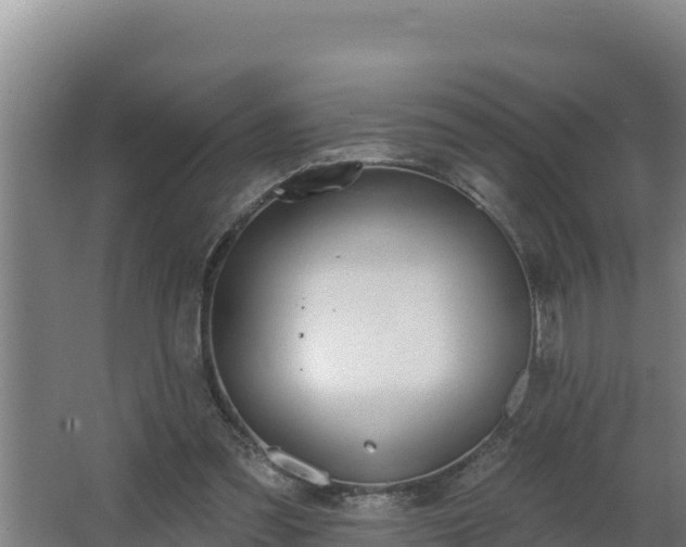 X0000064050301200602031630