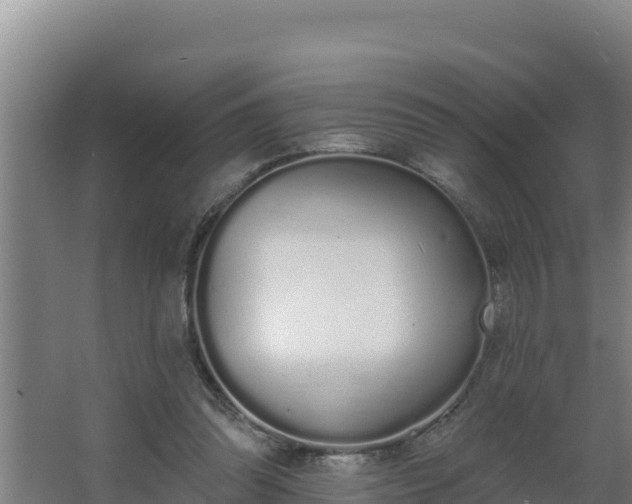 X0000064050302200602031630