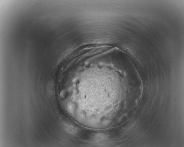 X0000064050303200602031630