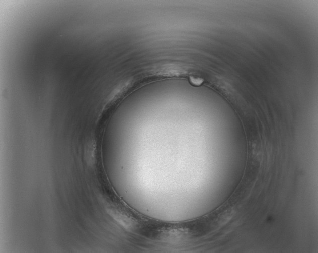 X0000064050304200602031630