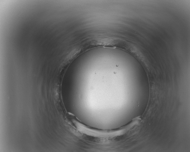 X0000064050305200602031630