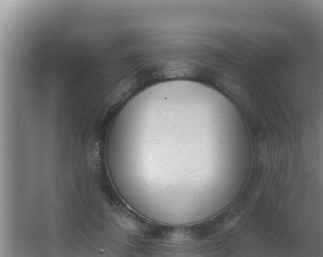 X0000064050308200602031630