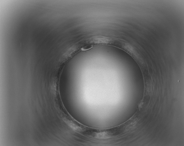 X0000064050309200602031630