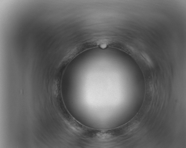 X0000064050311200602031630