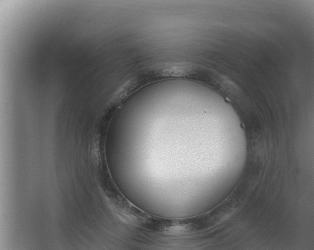 X0000064050312200602031630