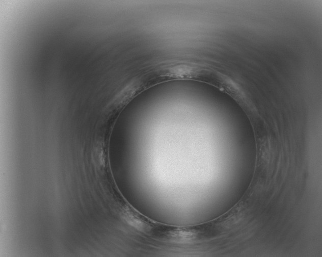 X0000064050313200602031630