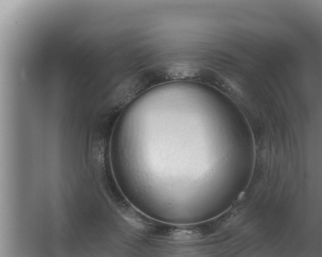 X0000064050315200602031630