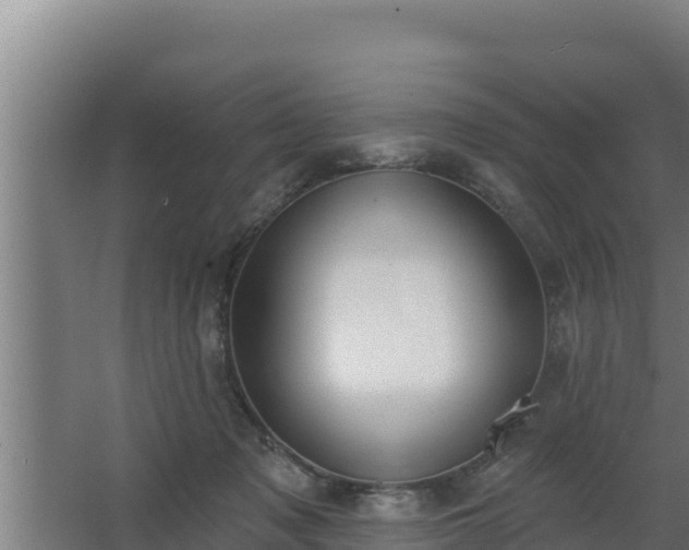 X0000064050317200602031630