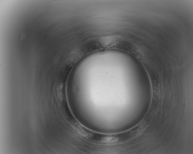 X0000064050319200602031630