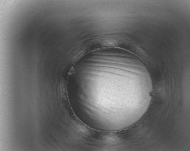 X0000064050322200602031630