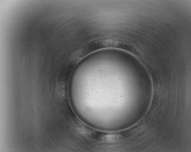 X0000064050323200602031630