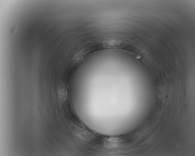 X0000064050324200602031630