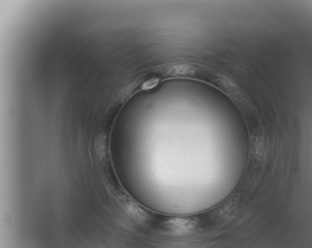 X0000064050326200602031630