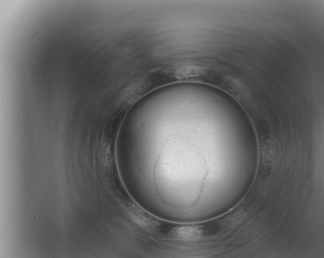 X0000064050327200602031630