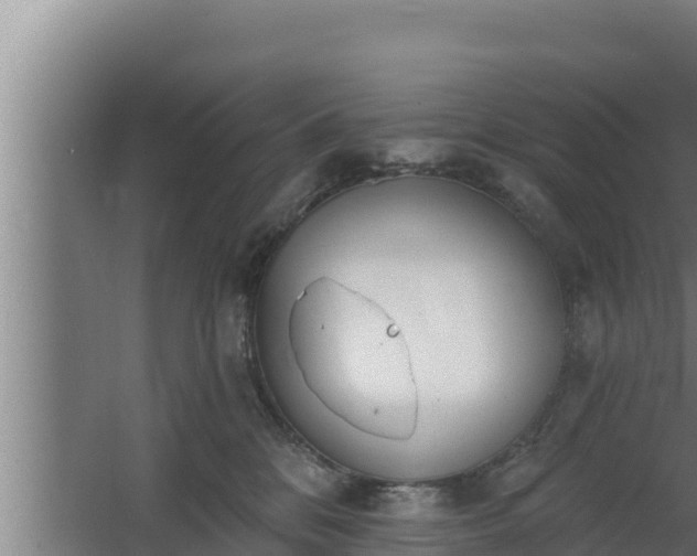 X0000064050328200602031630